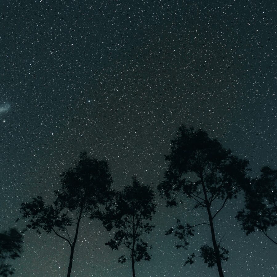 cracking-the-may-17-zodiac-sign-personality-and-compatibility