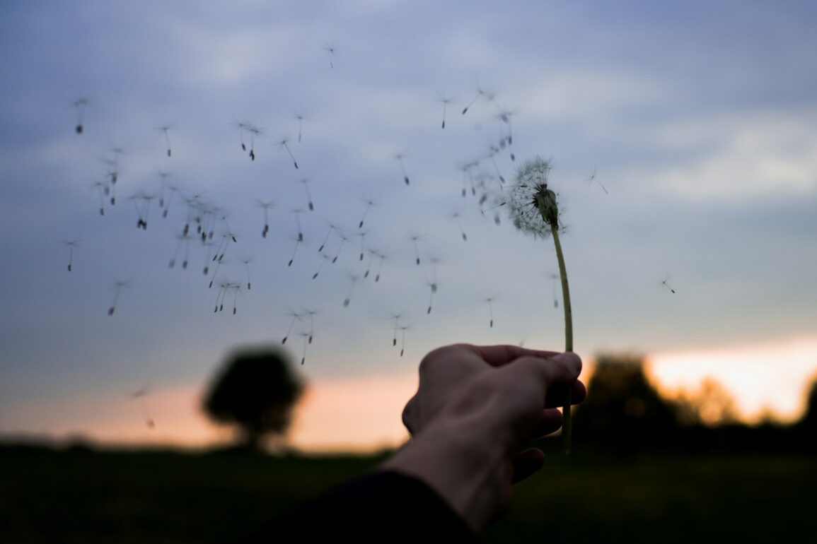 When Peace Returns Softly: Receiving the Good Without Guarding Against It (The Door of Quiet Abundance)