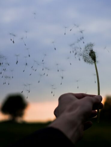 When Peace Returns Softly: Receiving the Good Without Guarding Against It (The Door of Quiet Abundance)