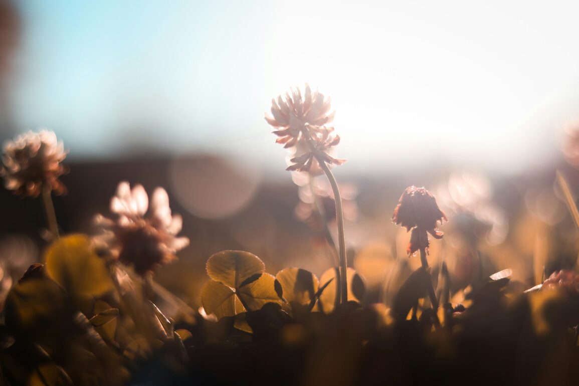 How to Stop Mistaking Chaos for Connection: When Safety Feels Like Passion (The Quiet Shape of Real Love)