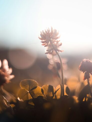 How to Stop Mistaking Chaos for Connection: When Safety Feels Like Passion (The Quiet Shape of Real Love)