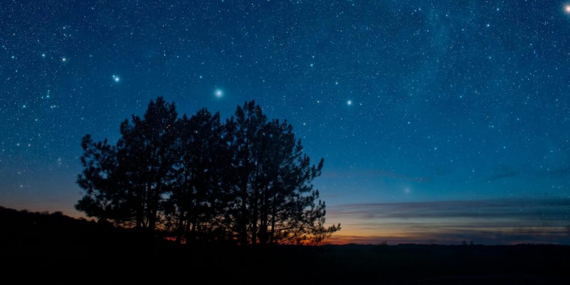 Starry night sky with tree silhouette at dusk, featuring a sparkling celestial view.