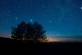 Starry night sky with tree silhouette at dusk, featuring a sparkling celestial view.