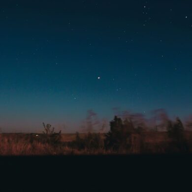 View through moving car window of horizon line with dark star sky and blurred trees