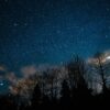 A breathtaking view of a star-filled night sky with silhouetted trees beneath.