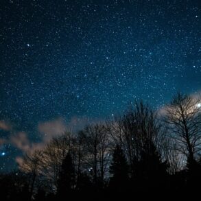 A breathtaking view of a star-filled night sky with silhouetted trees beneath.