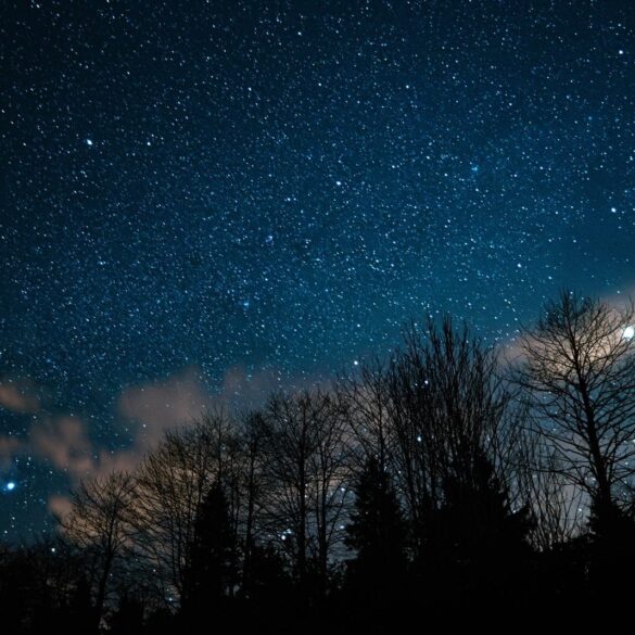 A breathtaking view of a star-filled night sky with silhouetted trees beneath.