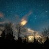 A stunning star-filled night sky over silhouetted trees, capturing cosmic beauty.