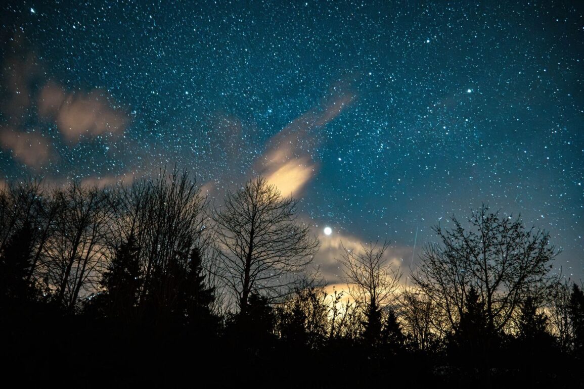 A stunning star-filled night sky over silhouetted trees, capturing cosmic beauty.