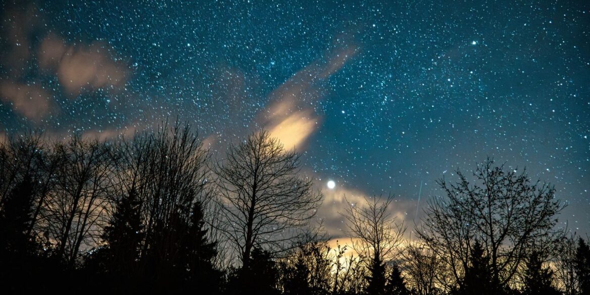 A stunning star-filled night sky over silhouetted trees, capturing cosmic beauty.